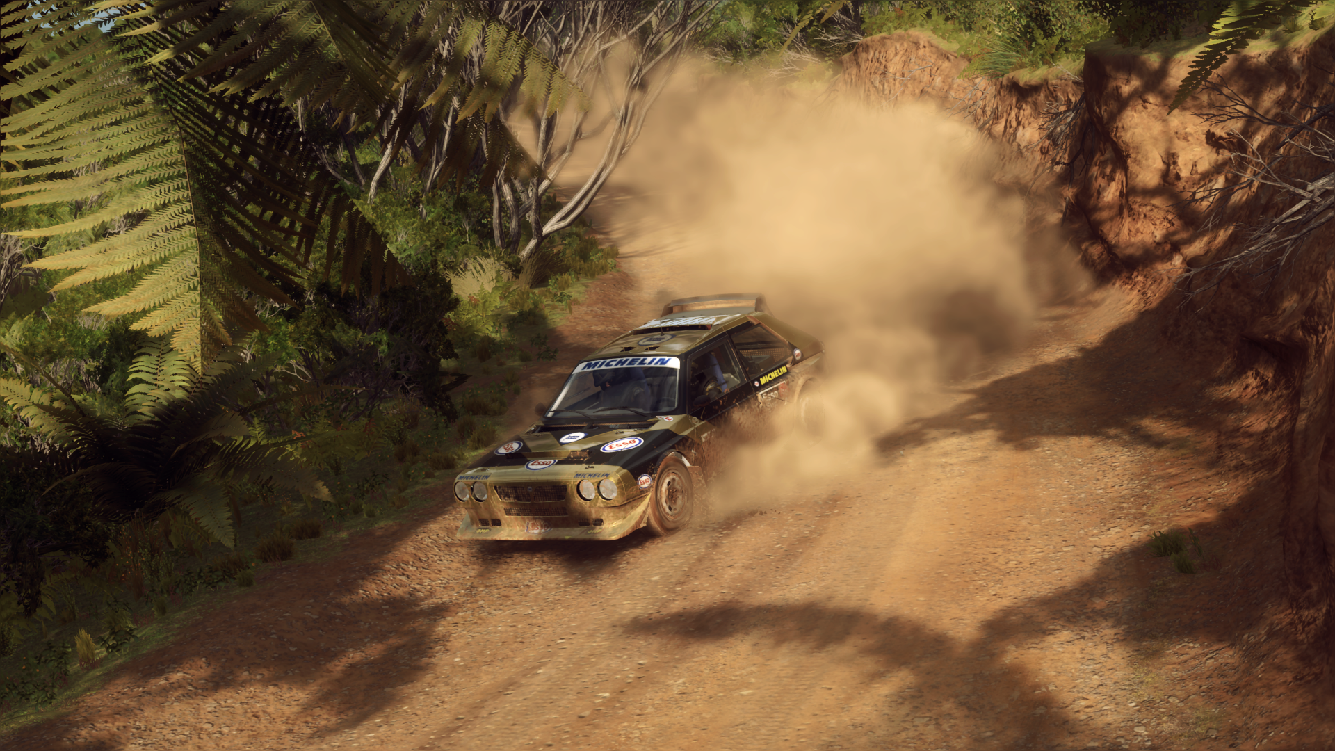 Mika Suhonen, FDRC Rallisarja 1. Kauden Mestari (2019)